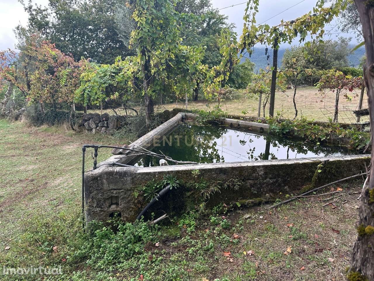 Terreno com 3.300 m² no Gerês – A 5 Minutos do Rio Caldo - Grande imagem: 3/45