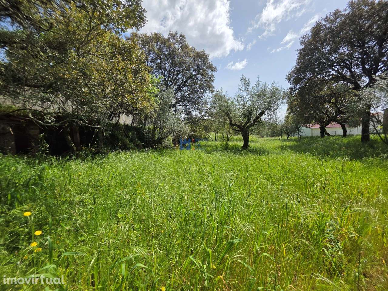 Terreno para construção em Fátima - Grande imagem: 5/16