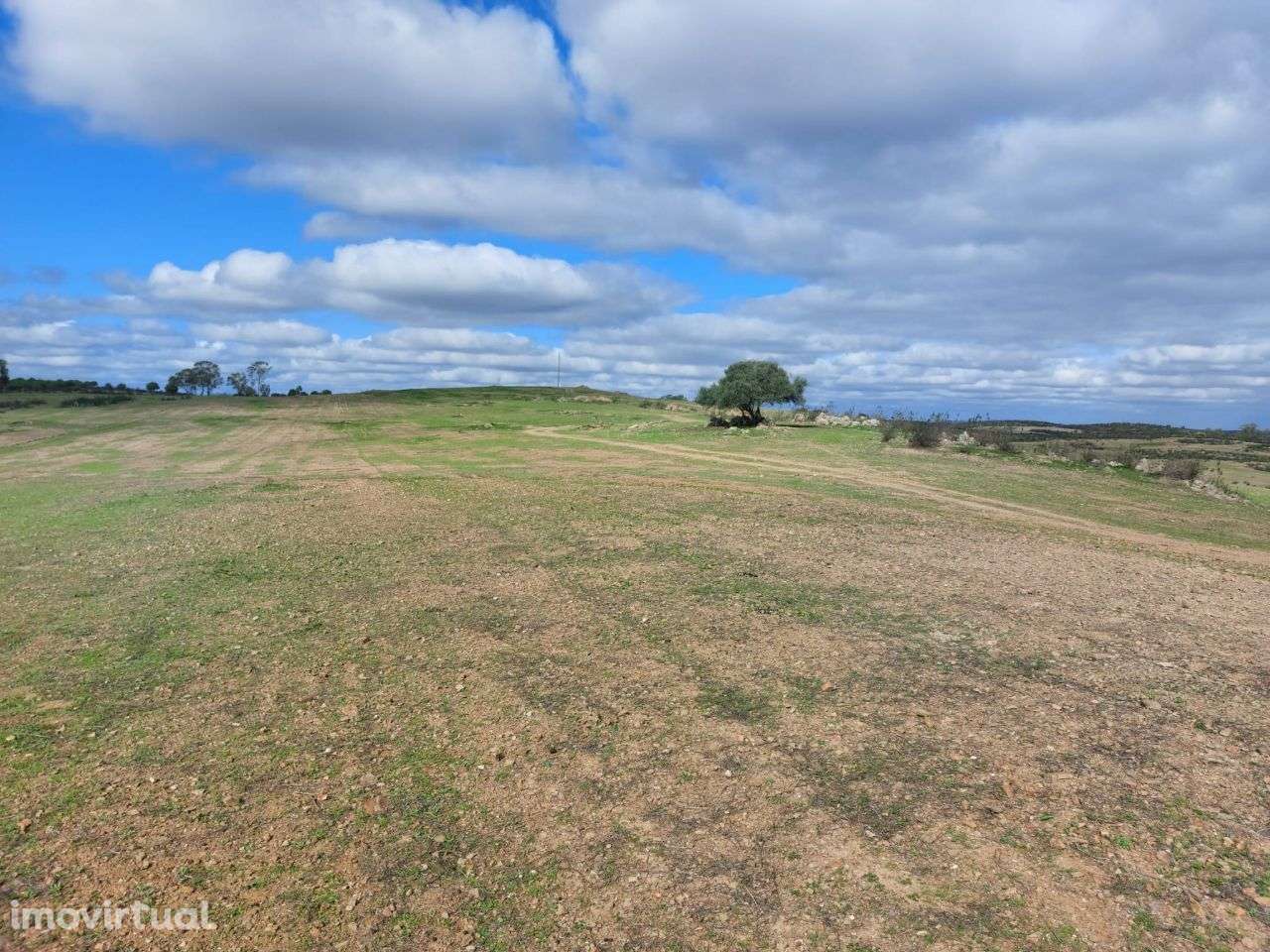 Vende-se Herdade com 209 ha no concelho de Mértola - Grande imagem: 3/10