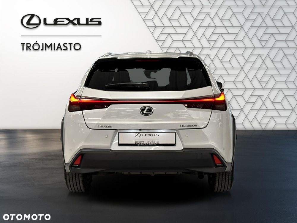 Lexus UX 250h GPF Business 2WD - 5
