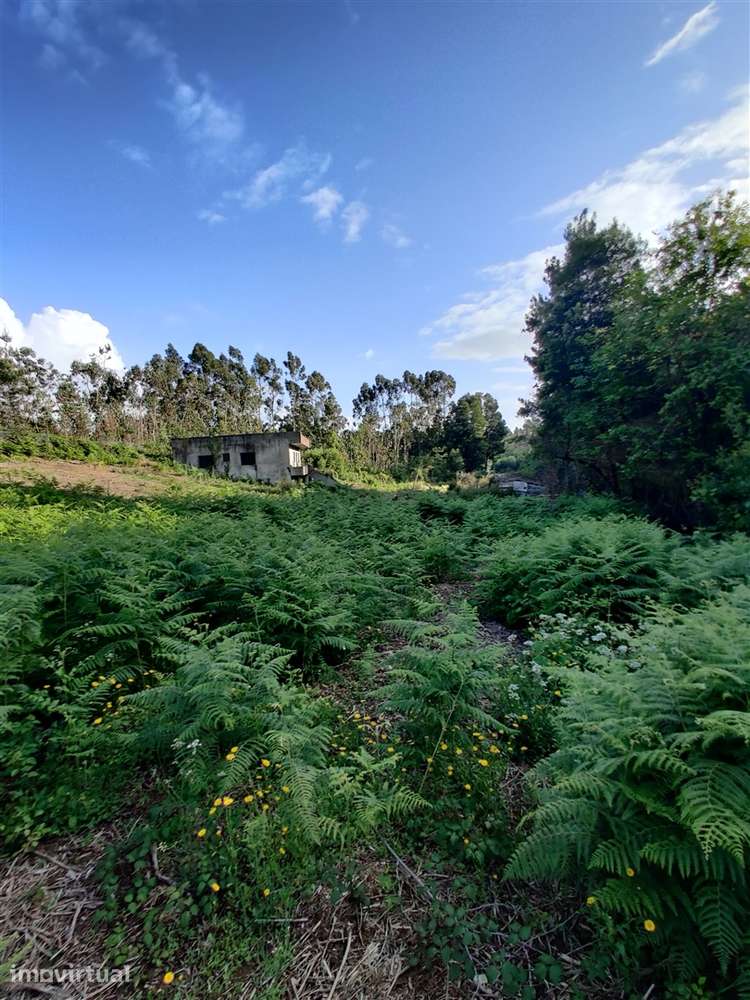 Terreno Urbanizável em Grijó - Grande imagem: 5/15