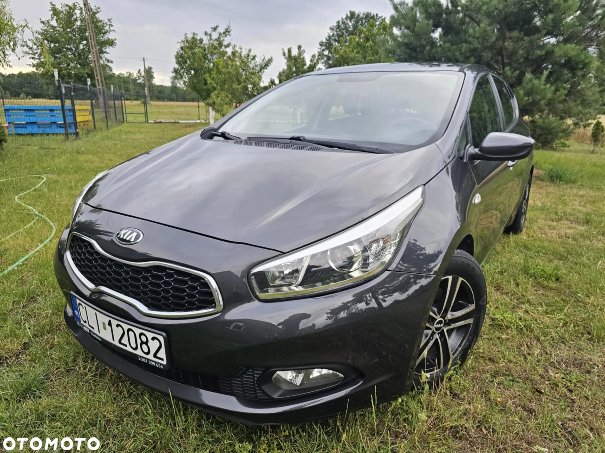 Kia Ceed 1.6 CRDi 128 Dream Team Edition - 2
