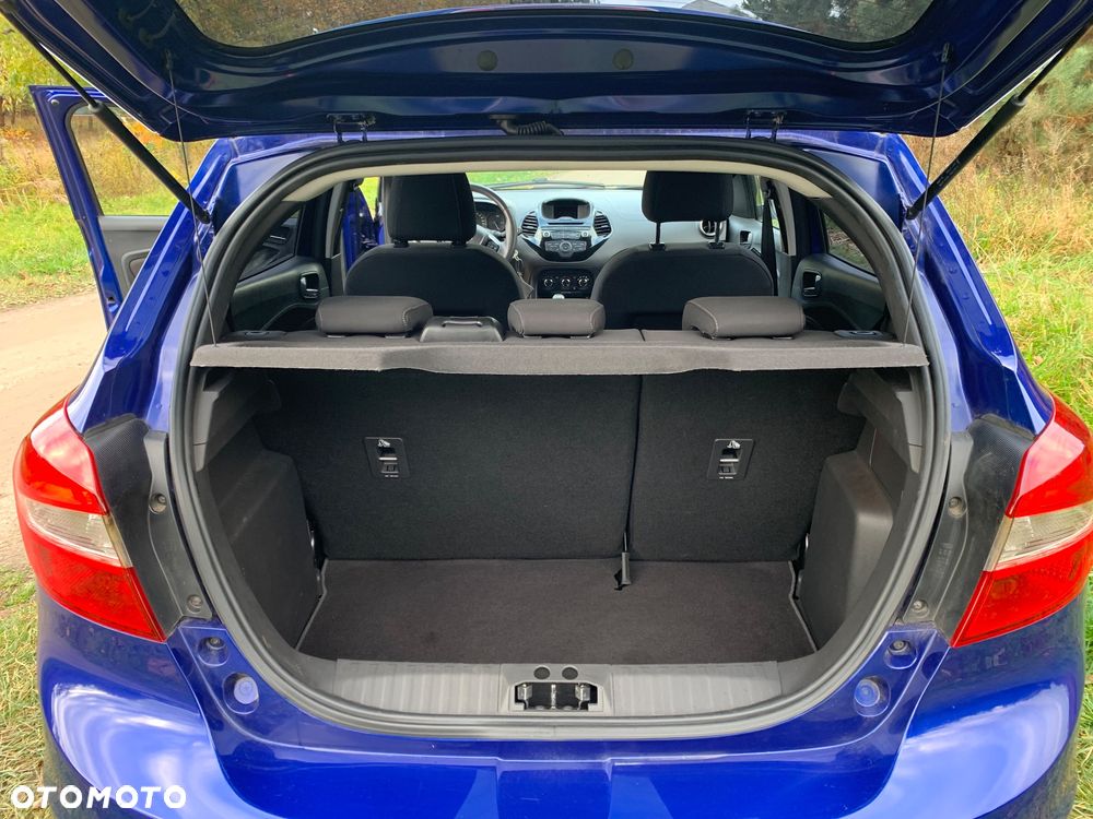 Ford Fiesta - 19