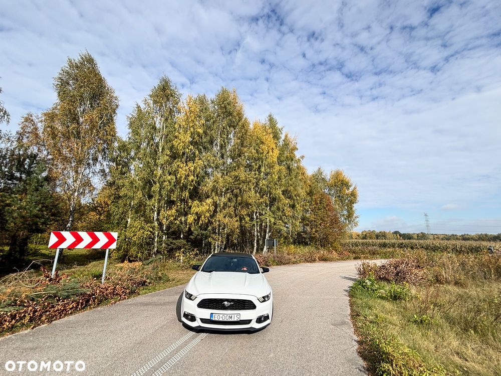 Ford Mustang 3.7 V6 - 8