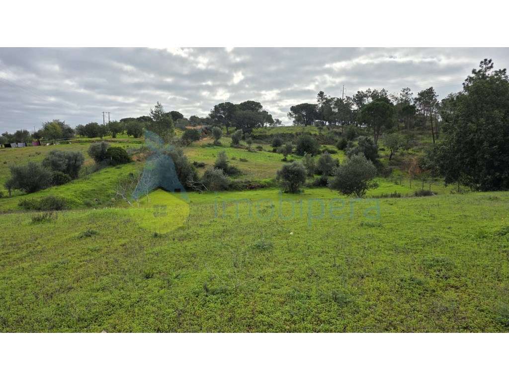 Terreno rústico de 9430m2 em Porches - Grande imagem: 4/6
