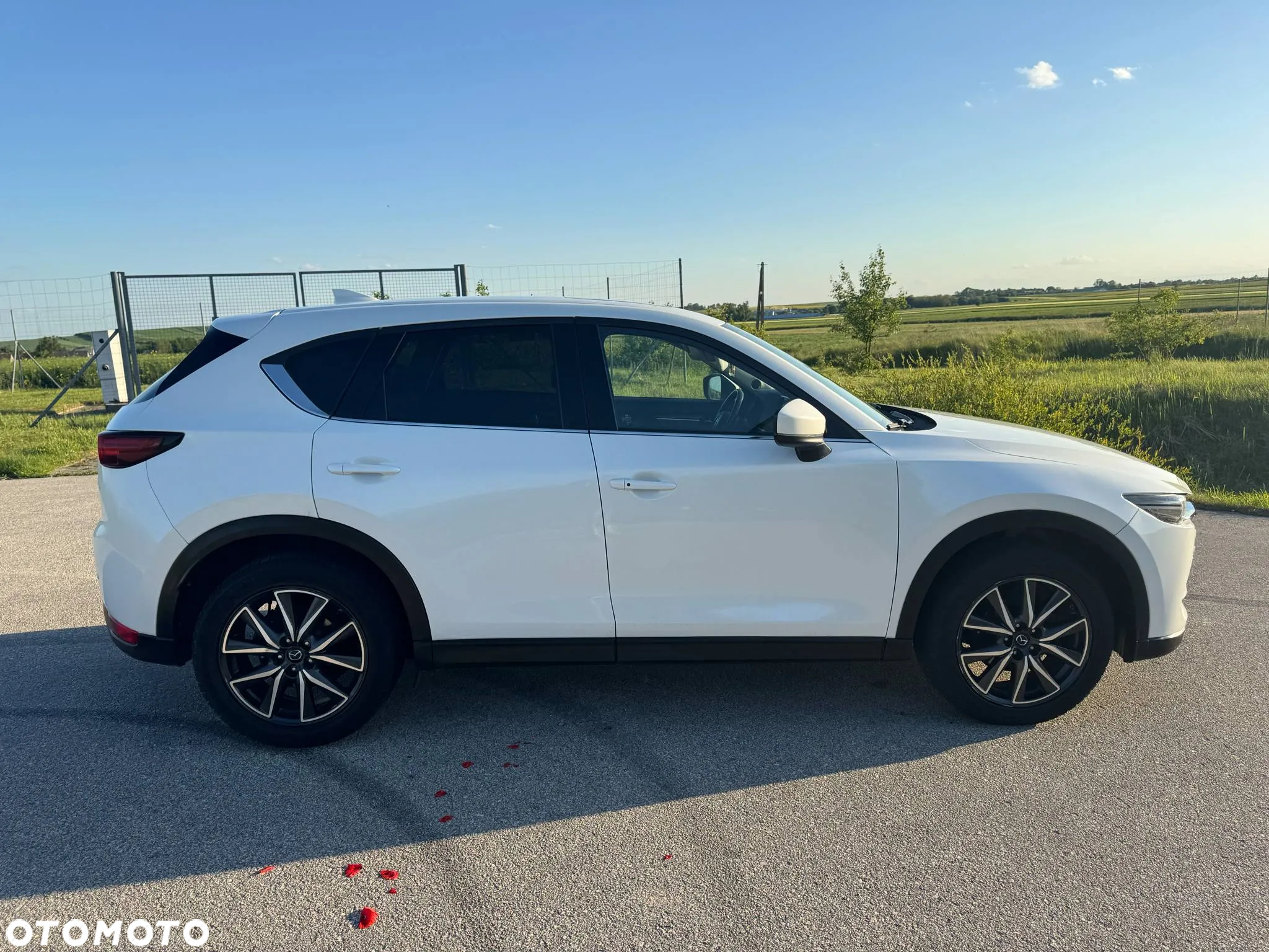 Mazda CX-5 2.2 D Skypassion AWD - 4