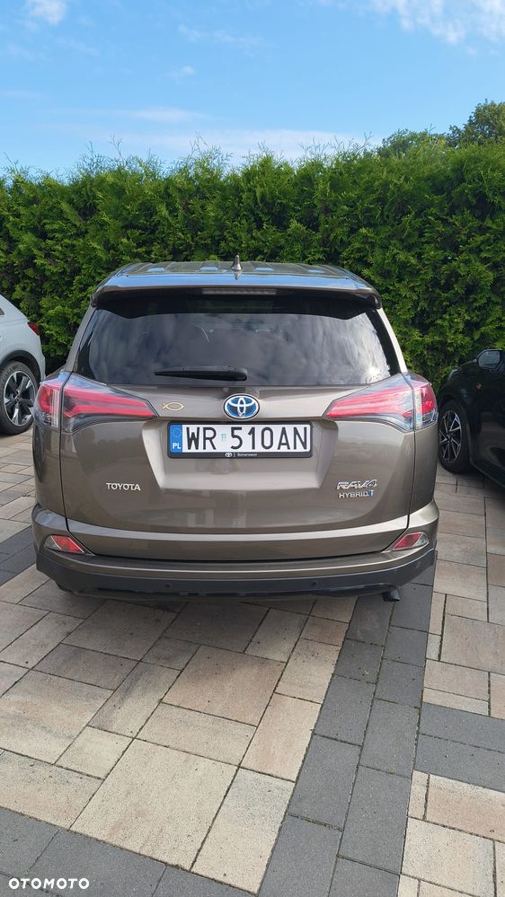Toyota RAV4 Hybrid Prestige 4x2 - 13