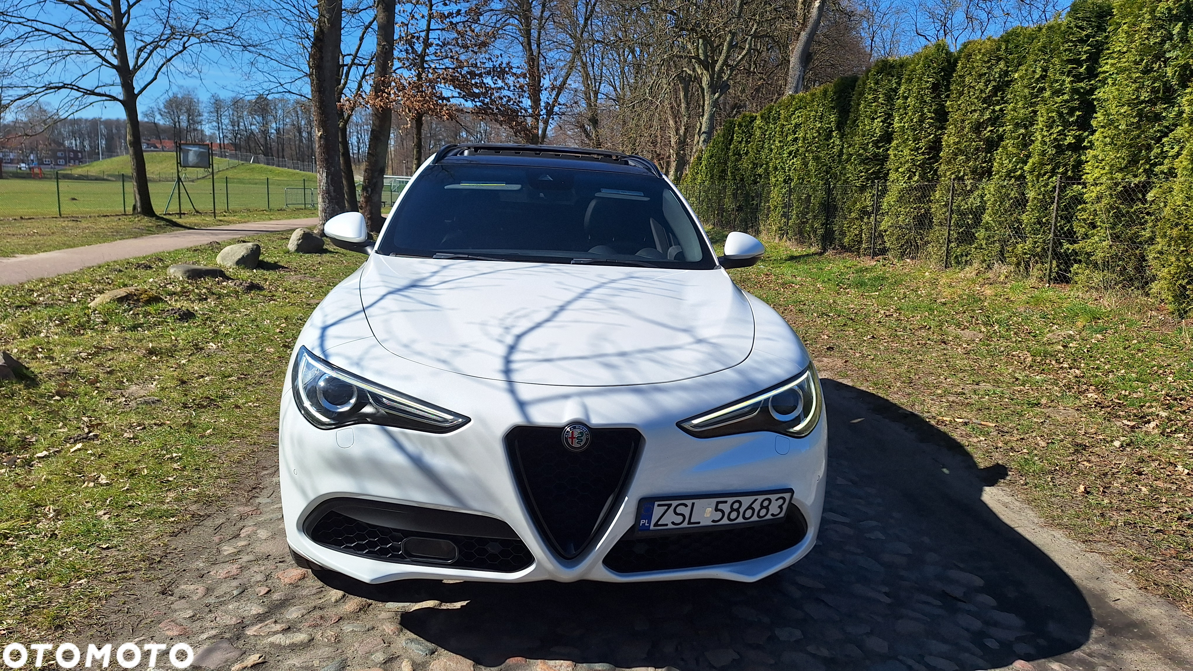 Alfa Romeo Stelvio 2.0 Turbo 16V AT8-Q4 Veloce Ti - 3