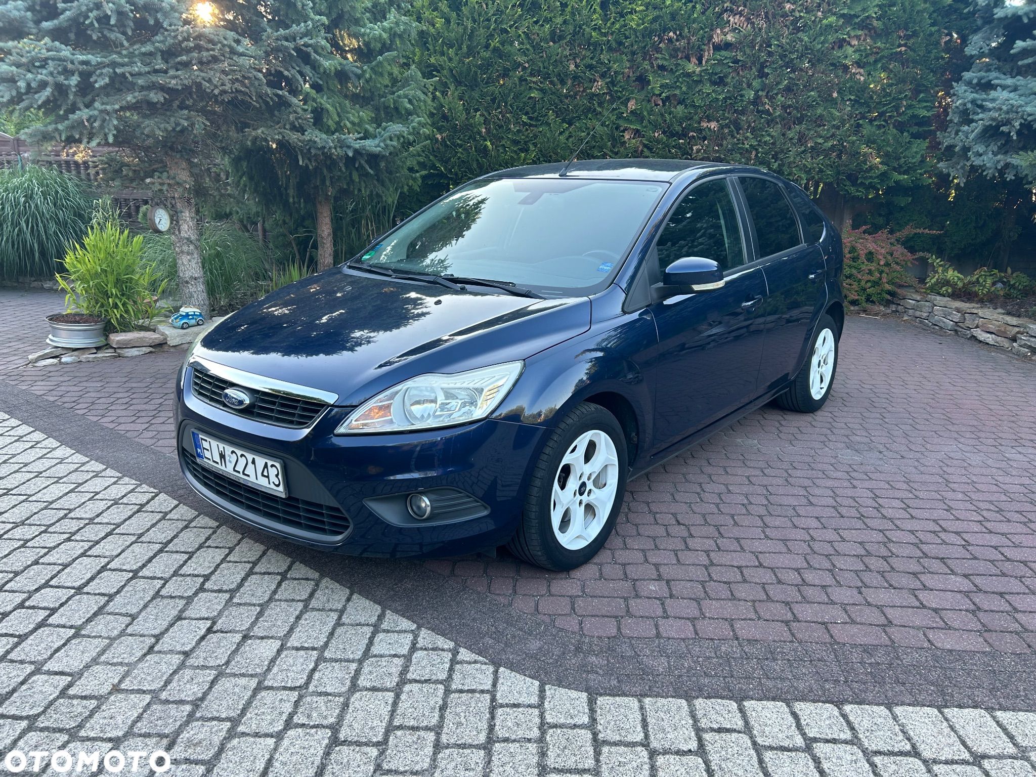 Ford Focus - 1