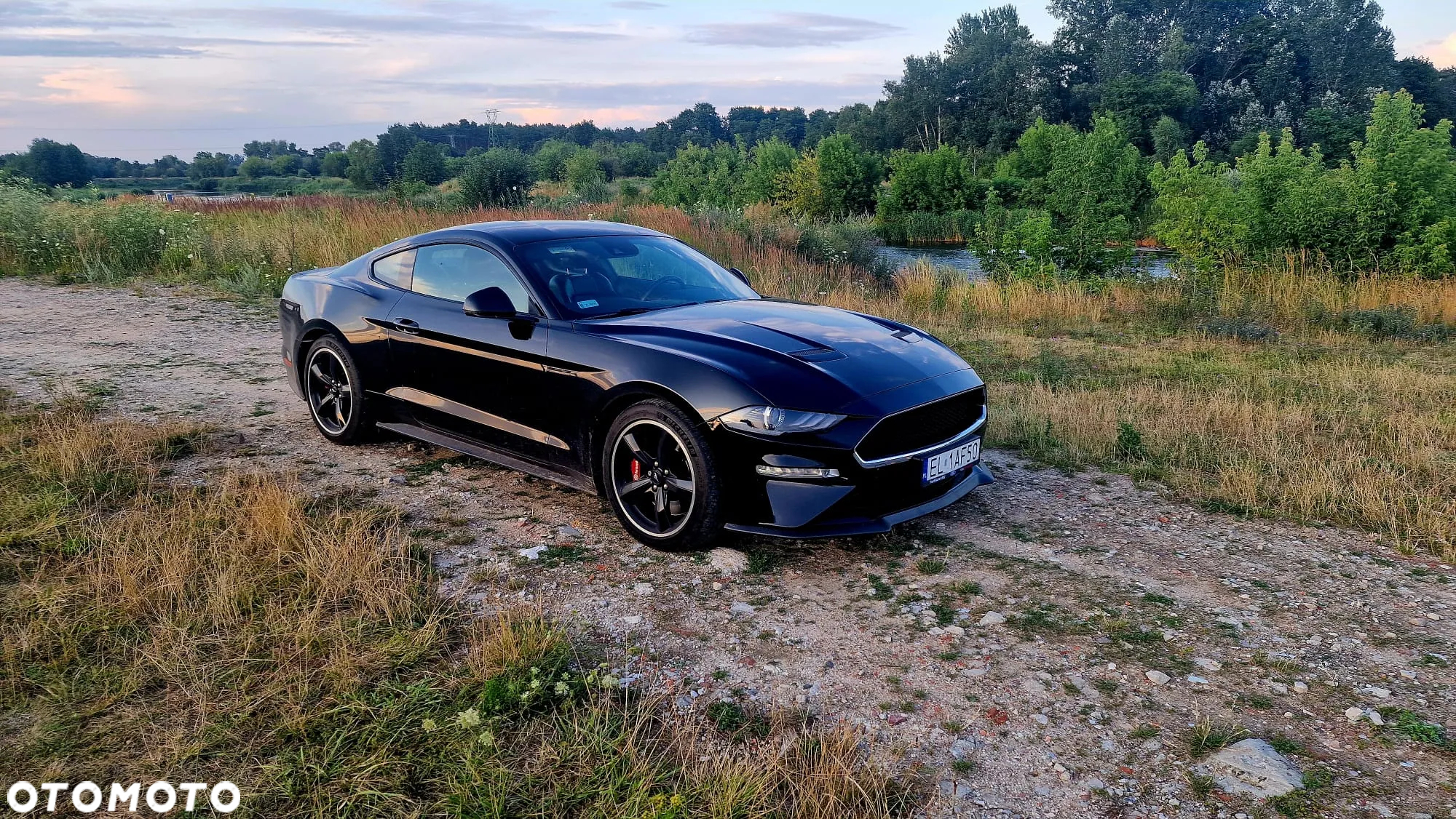 Ford Mustang 5.0 V8 Bullitt - 2