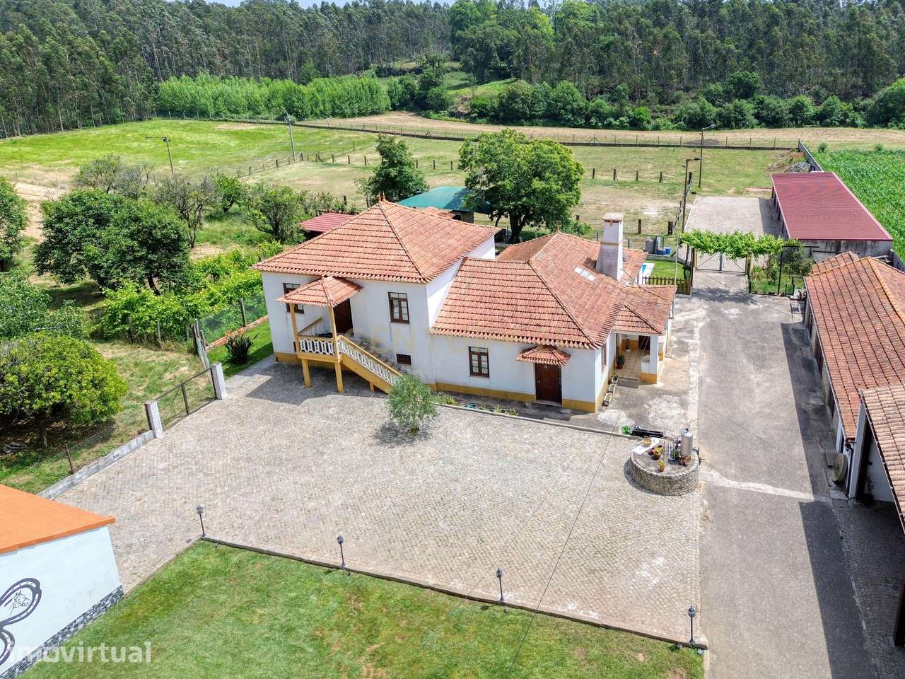 Quinta com 2 hectares em Ovar, Aveiro, a 40 min do Porto - Grande imagem: 4/49