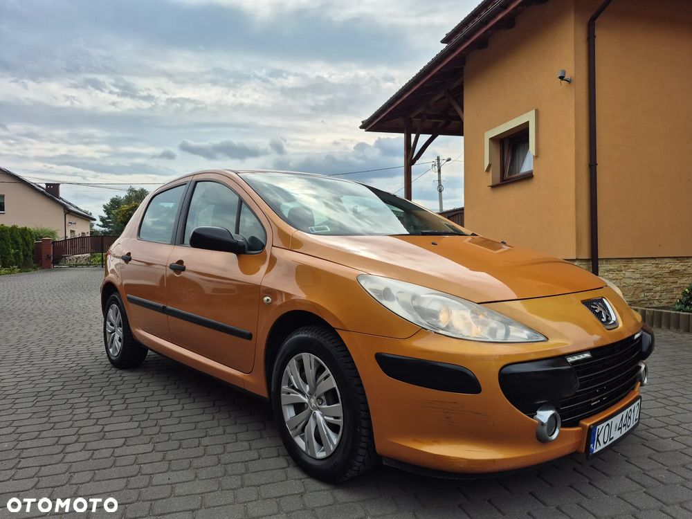 Peugeot 307 1.4 Trendy - 16