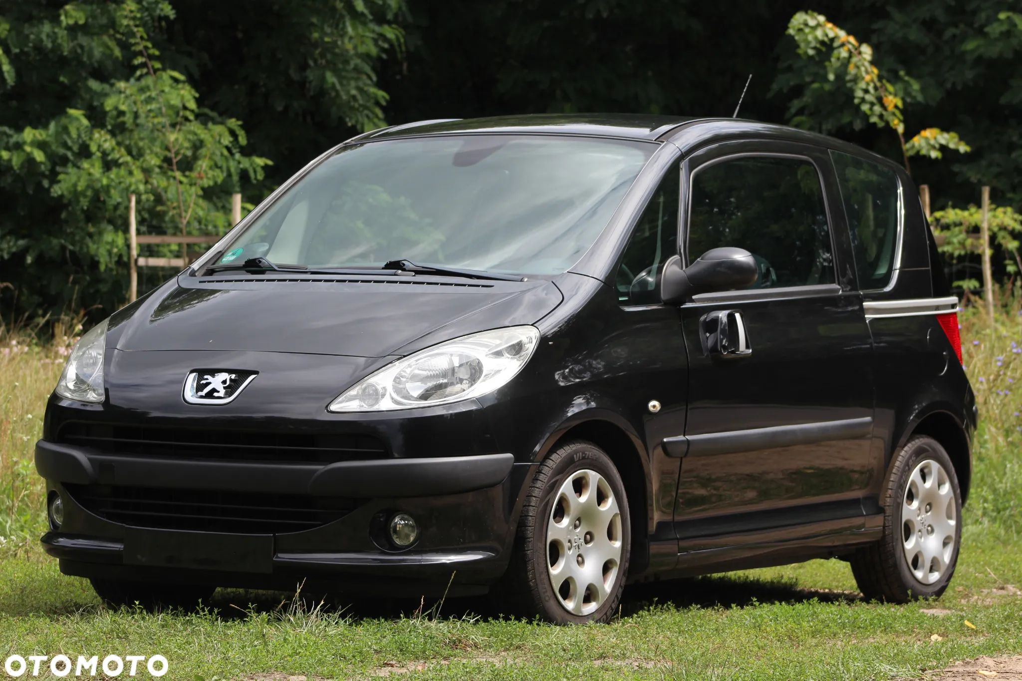Peugeot 1007 - 1
