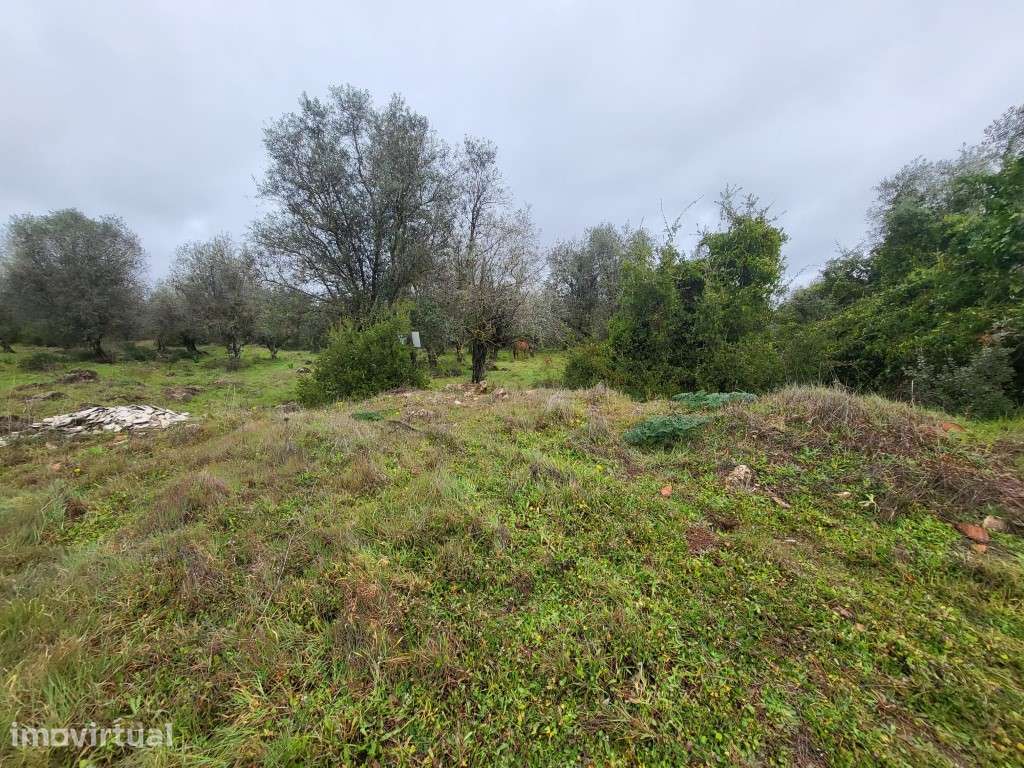 Terreno com 12,5 ha e ruína com 150 m2 perto de Vila Viçosa - Grande imagem: 4/42