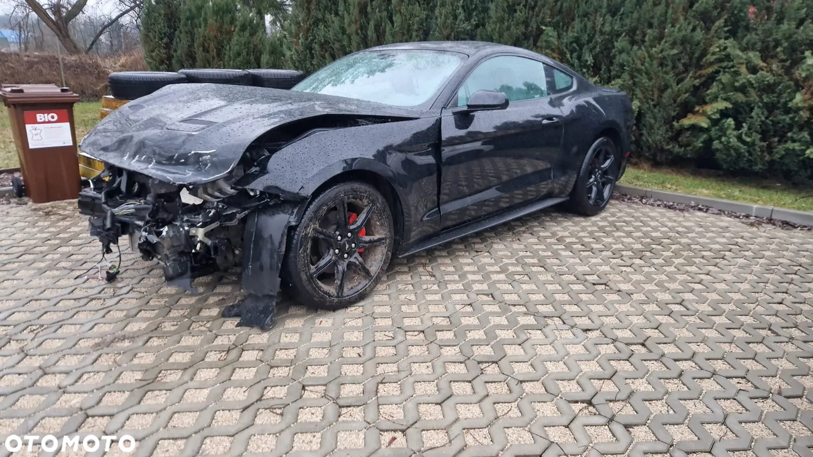 Ford Mustang 2.3 EcoBoost - 4
