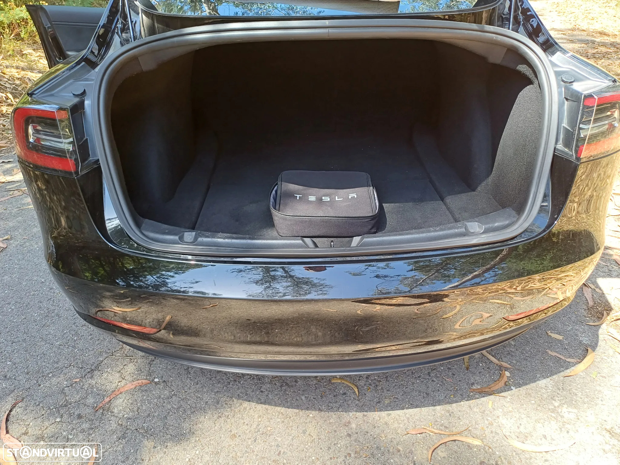 Tesla Model 3 Long Range AWD Dual Motor - 24
