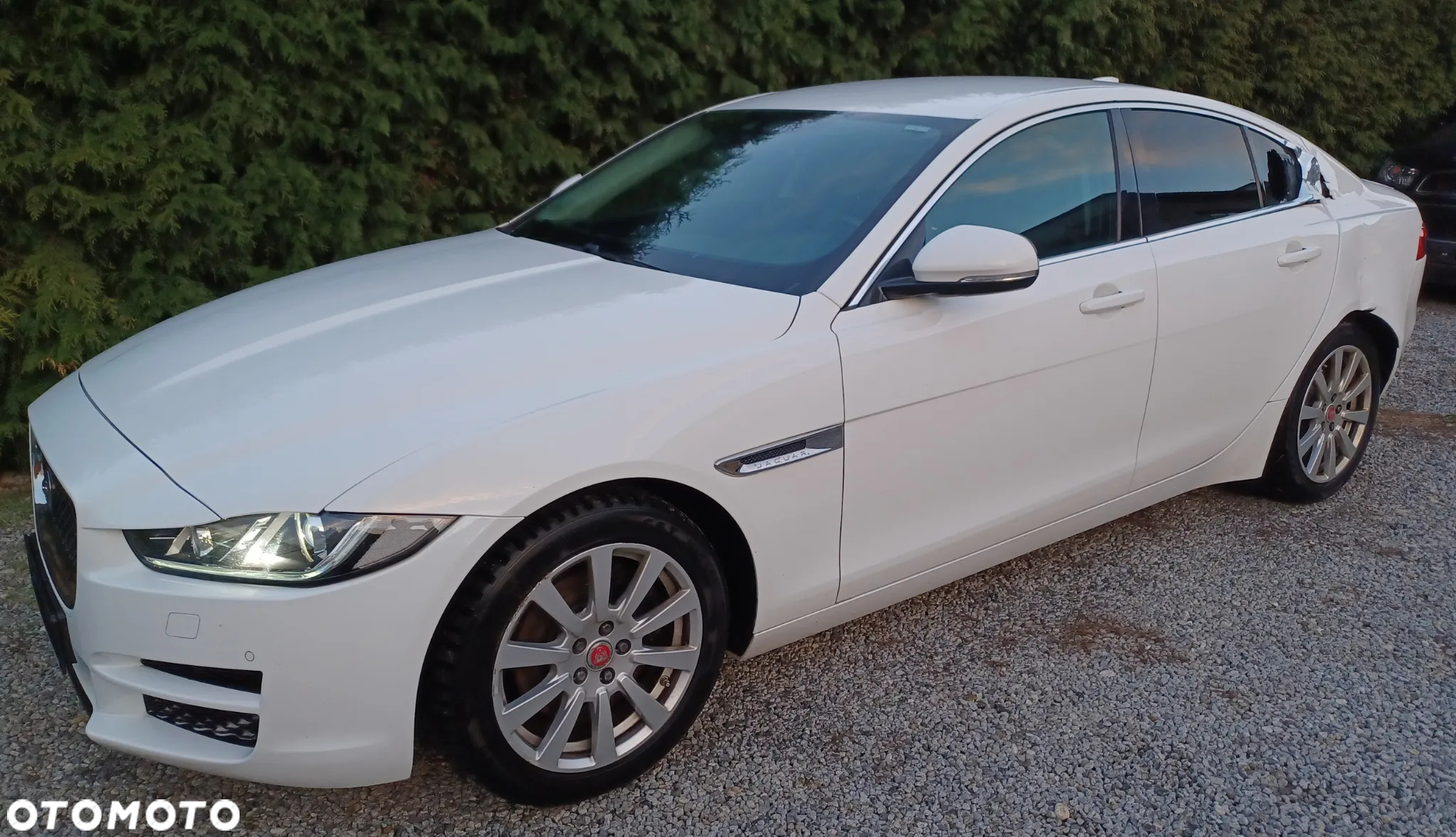 Jaguar XE - 8