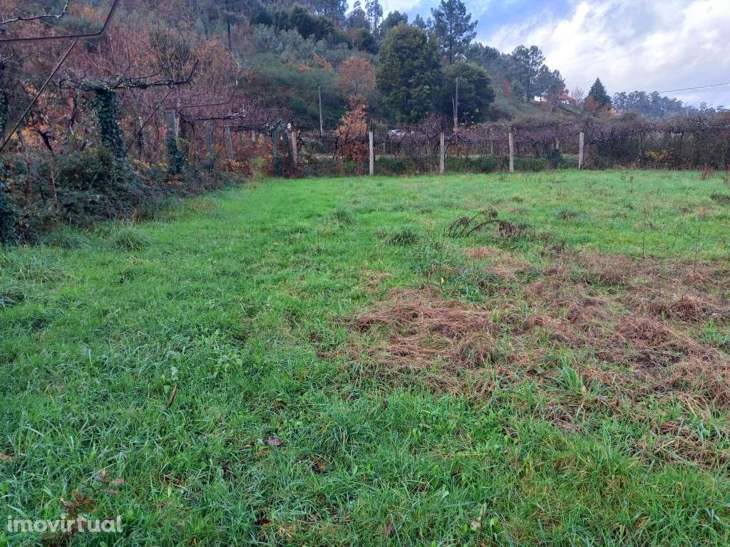 Terreno - Grande imagem: 4/6