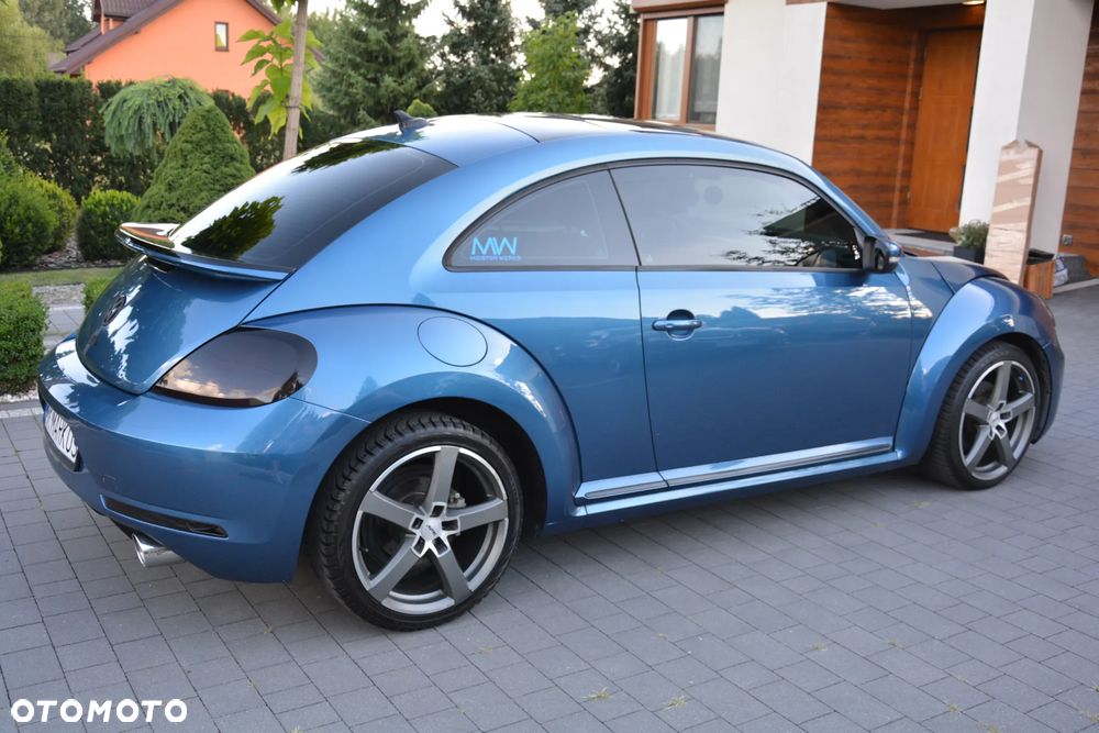 Volkswagen Beetle - 8