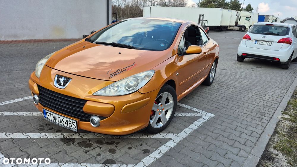 Peugeot 307 CC - 4