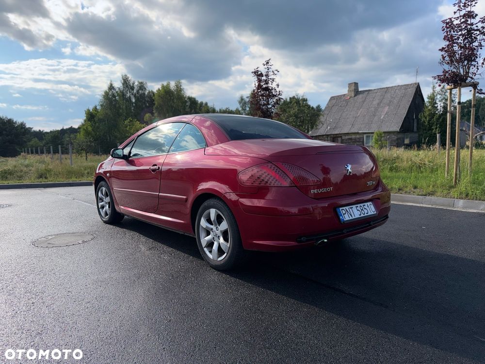 Peugeot 307 - 4