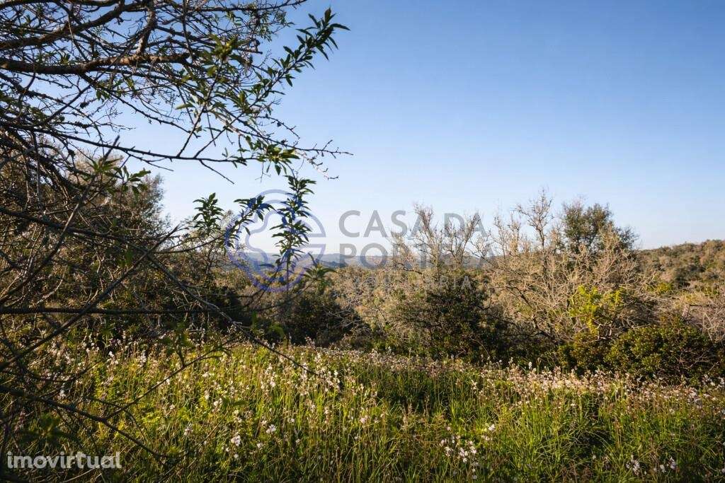 Entre a serra e o litoral. Terreno 4.000 m2 | Construção até 600m2 | 2 - Grande imagem: 5/16