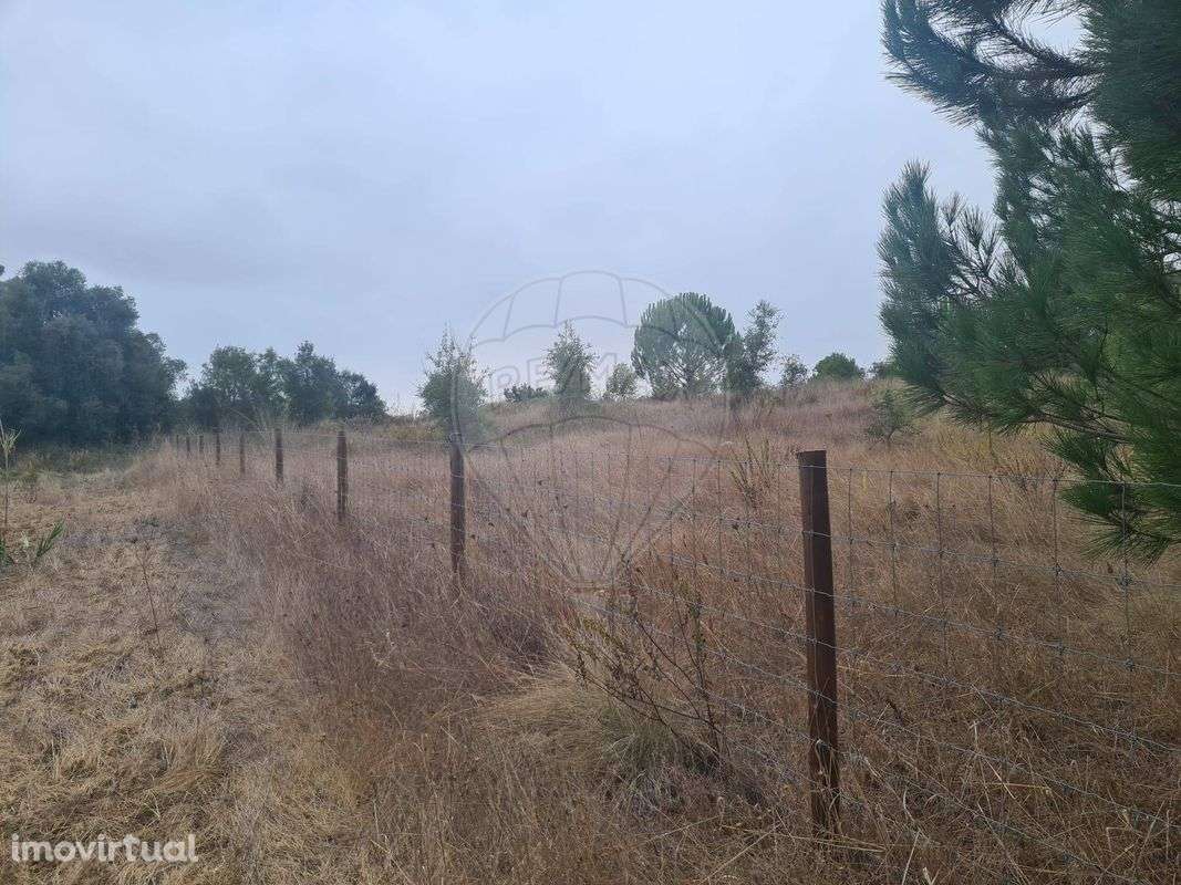 Terreno  para venda - Grande imagem: 3/22