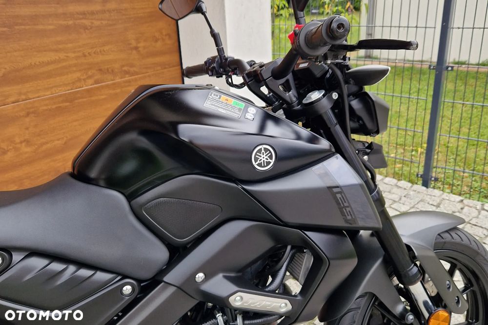 Yamaha MT - 6