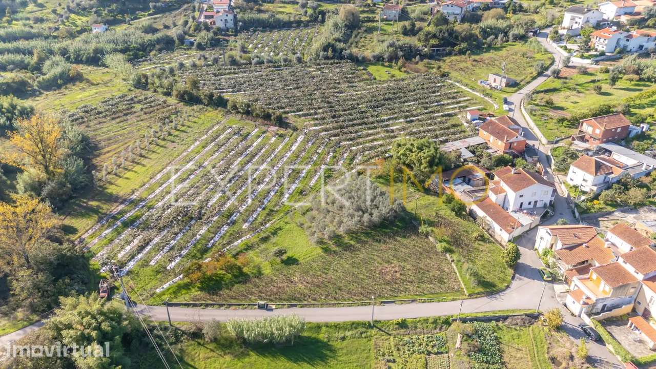 Terreno junto a Ribeiro em Quinta do Colaço (Almalaguês/Coimbra) - Grande imagem: 4/12