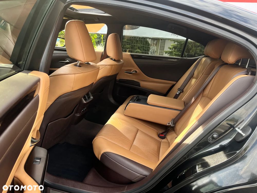 Lexus ES 300h Omotenashi - 16