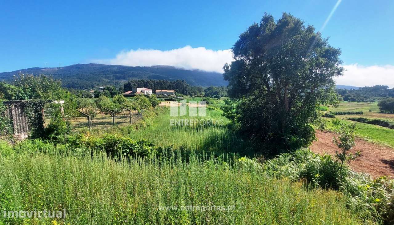 Terreno de construção para venda, Riba de Âncora, Caminha - Grande imagem: 2/8