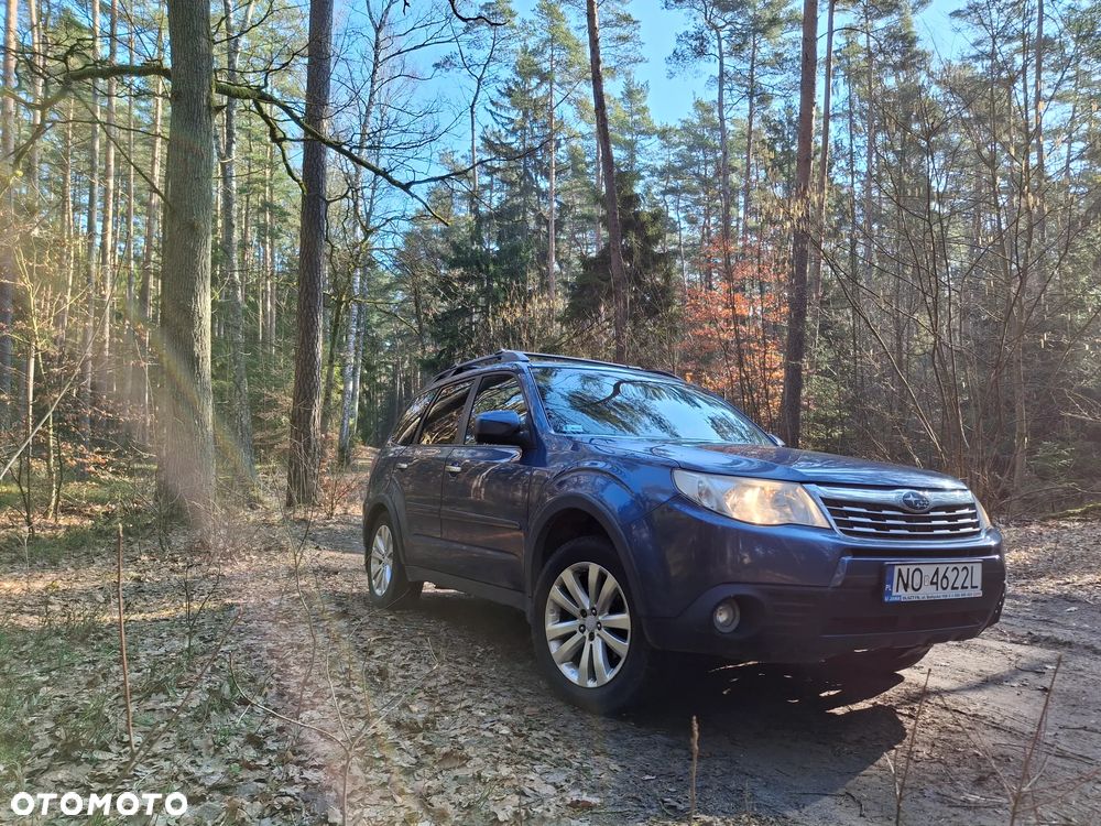 Subaru Forester - 3