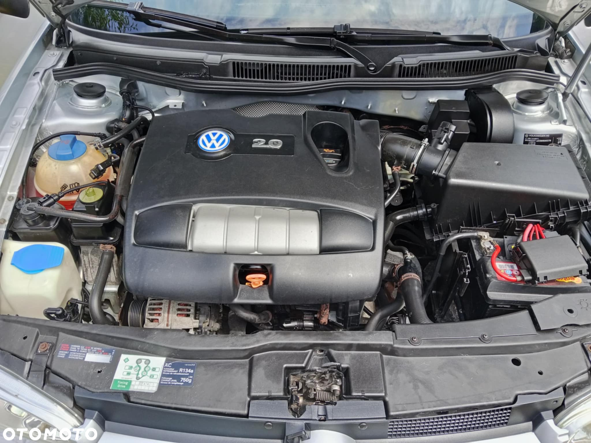 Volkswagen Golf - 26