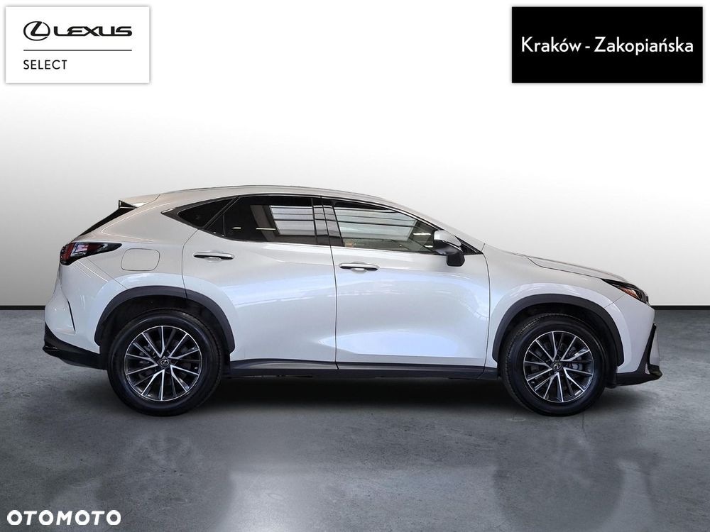 Lexus NX - 6