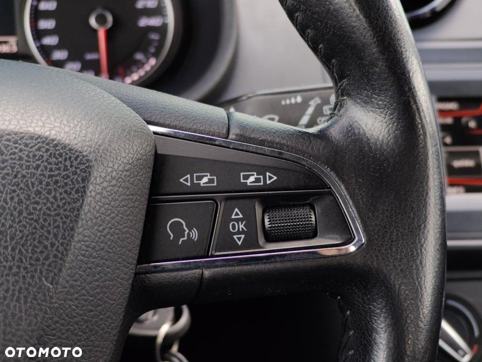 Seat Ibiza - 18