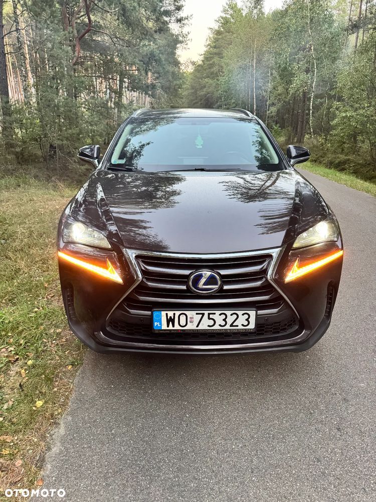 Lexus NX - 8