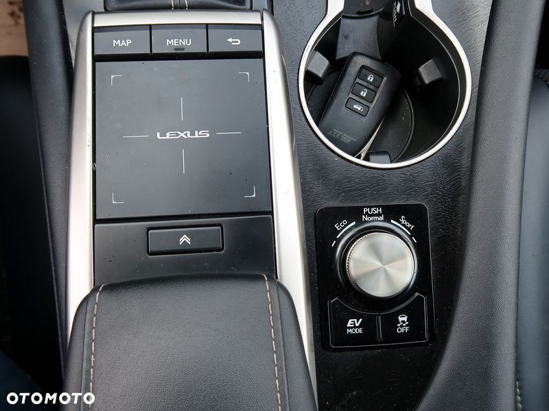 Lexus RX 450h F-Impression - 24