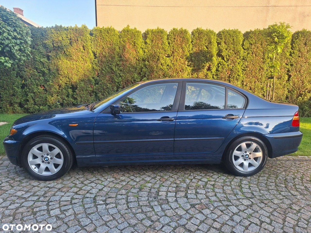 BMW Seria 3 318i Edition Exclusive - 6