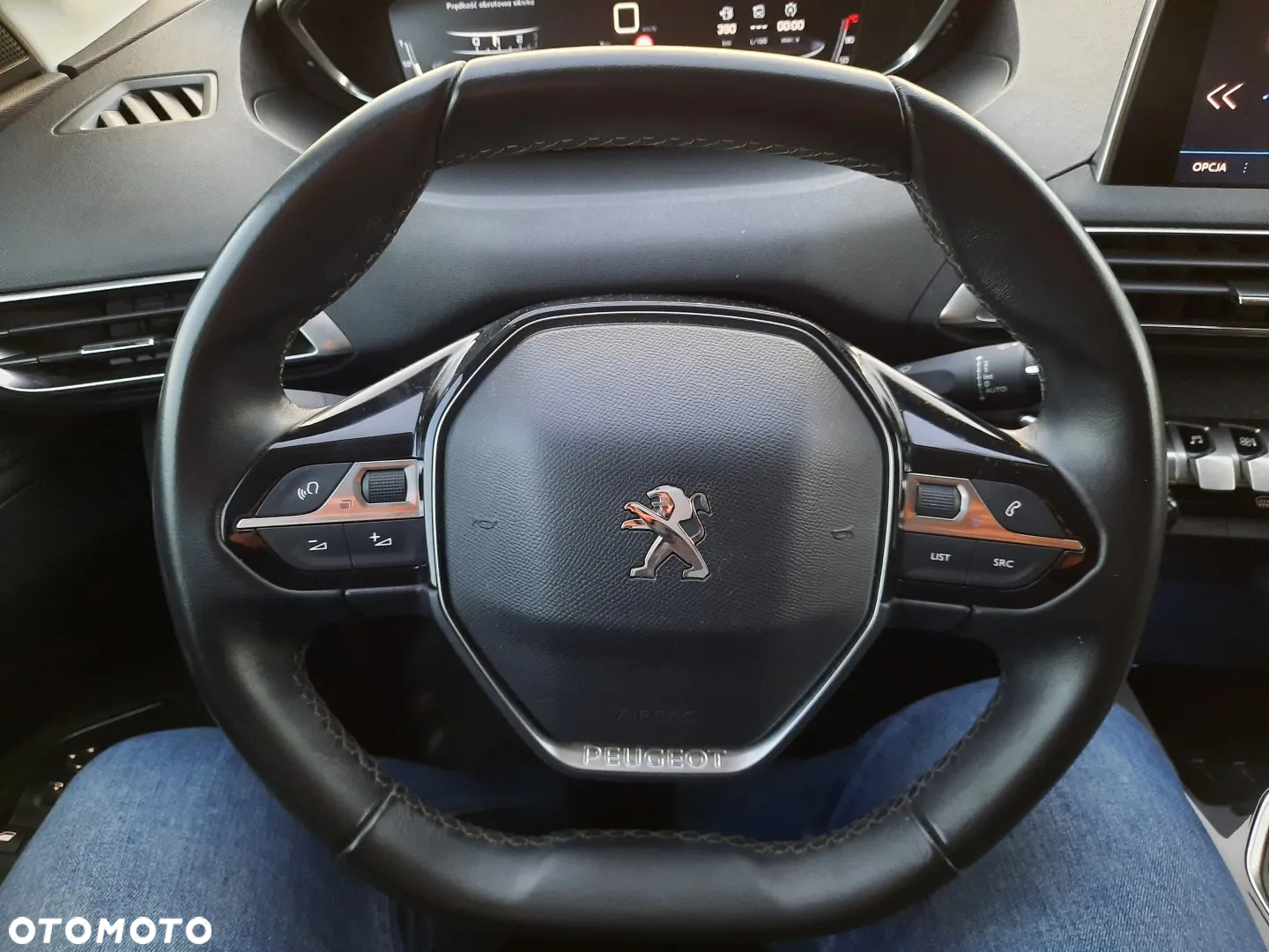 Peugeot 3008 1.5 BlueHDi Active S&S - 24