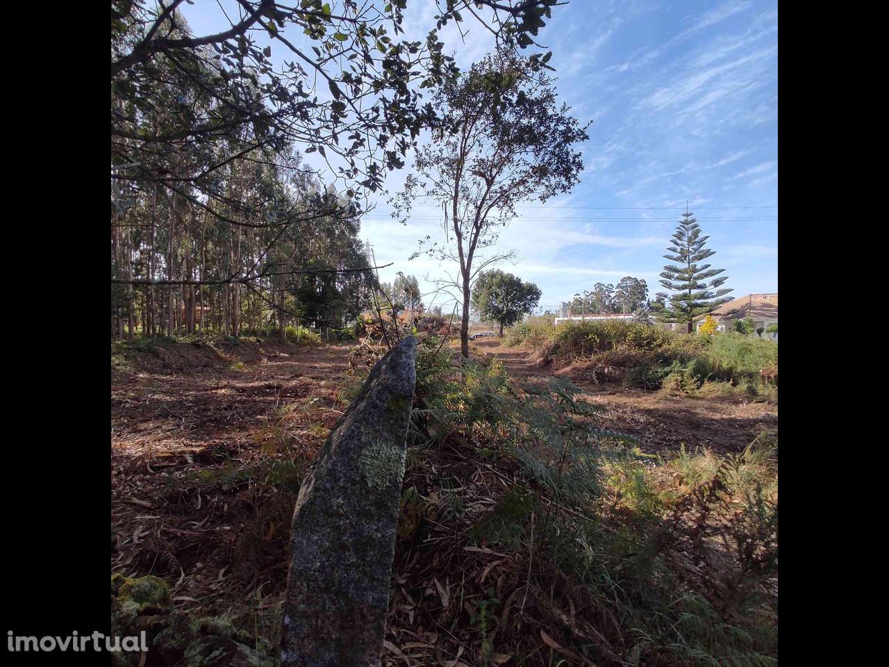 Terreno 1425 M2 P/Construção - Grande imagem: 4/4