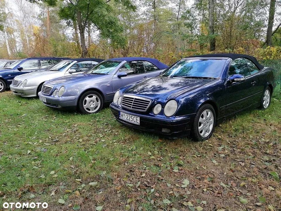 Mercedes-Benz CLK 230 Kompressor - 19