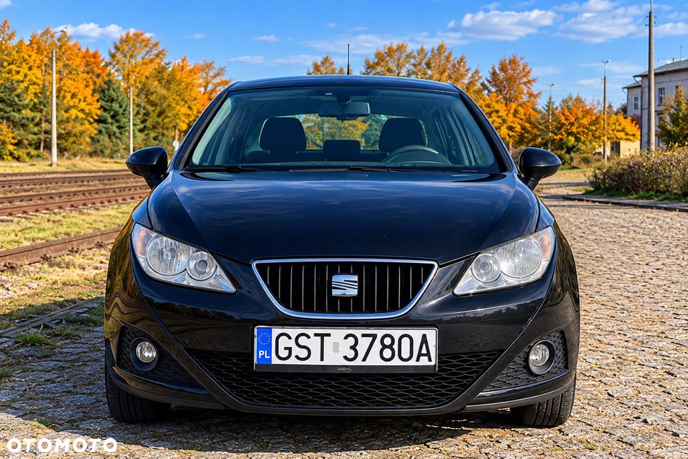 Seat Ibiza 2009 photo 3