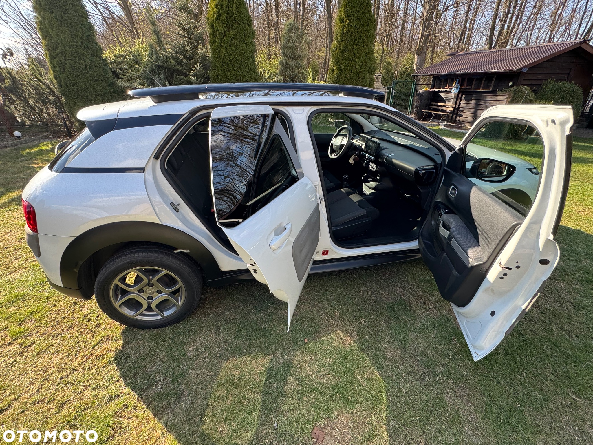 Citroën C4 Cactus BlueHDi 100 Stop&Start Shine - 20