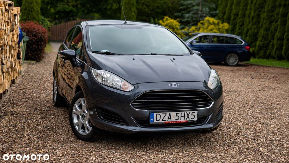 Ford Fiesta - 1