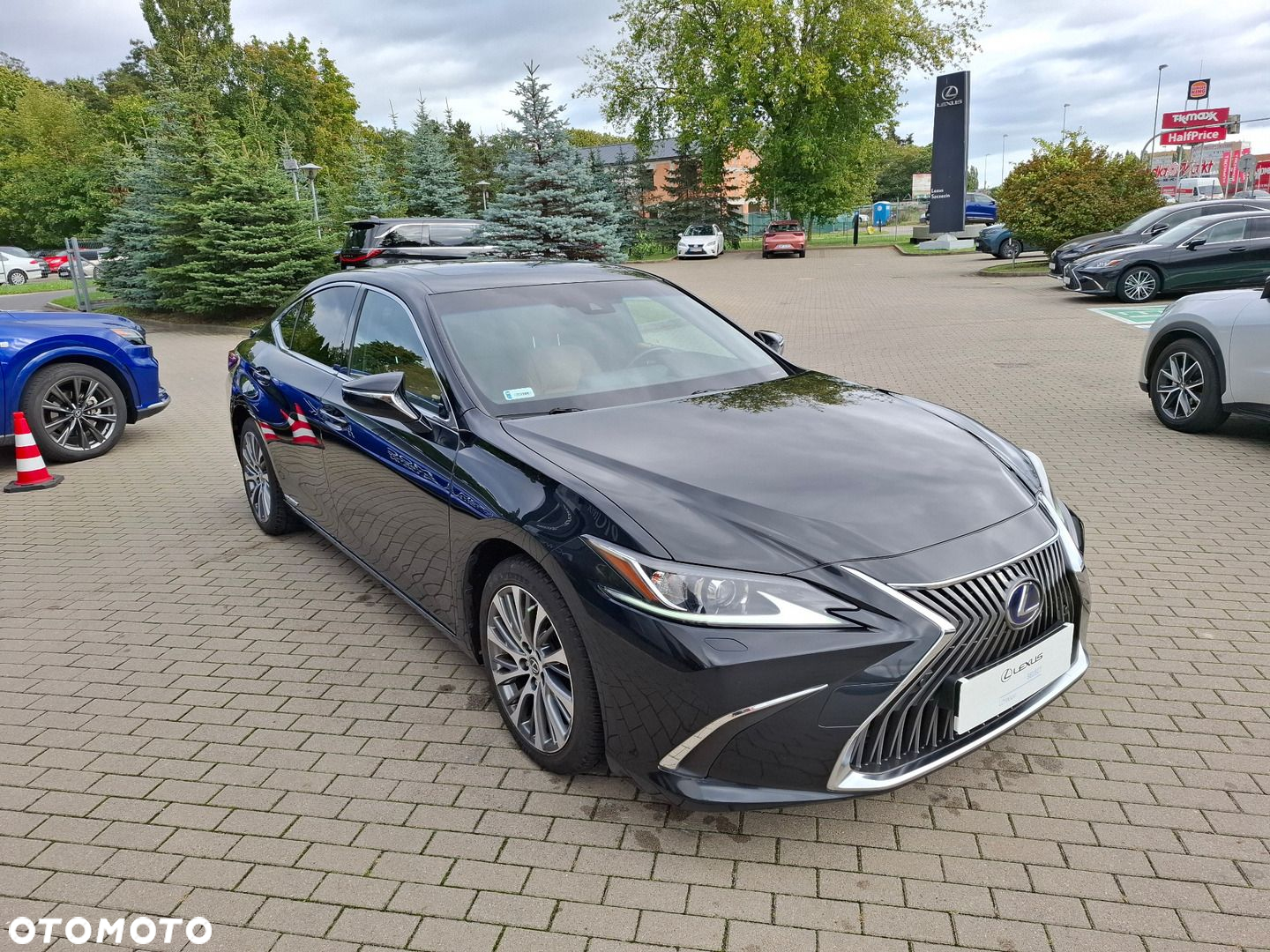 Lexus ES 300h Elegance - 7