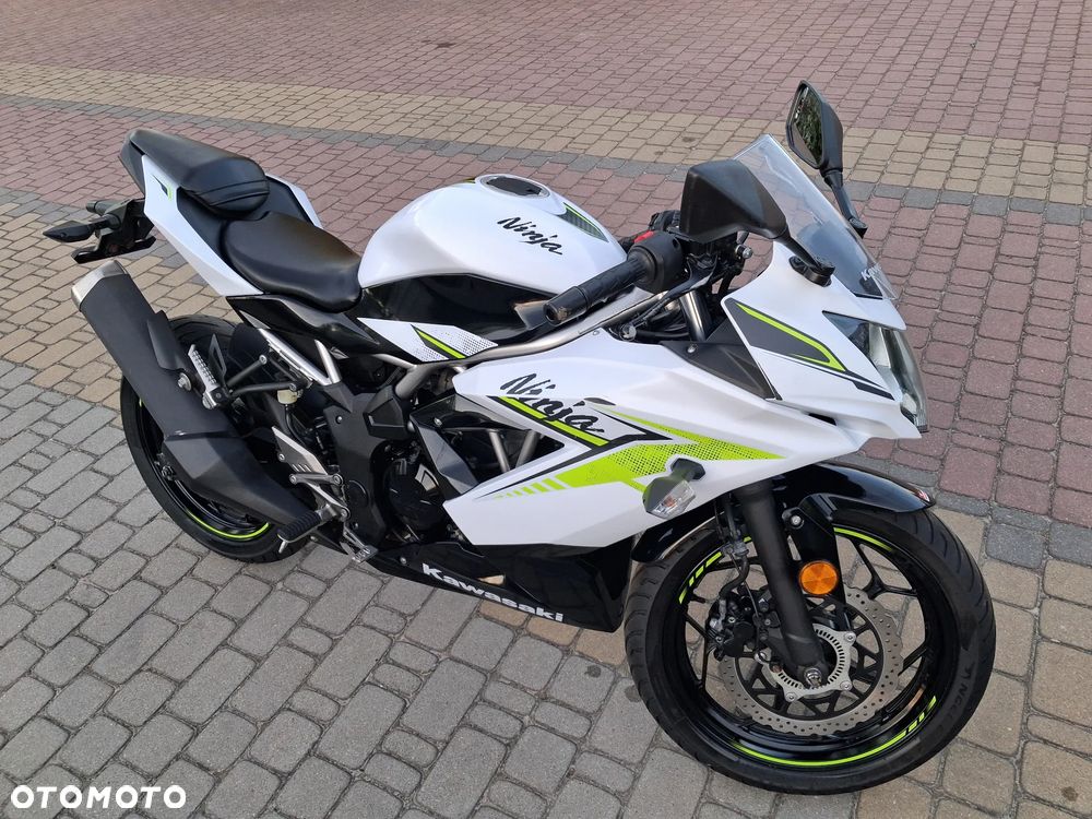 Kawasaki Ninja - 19