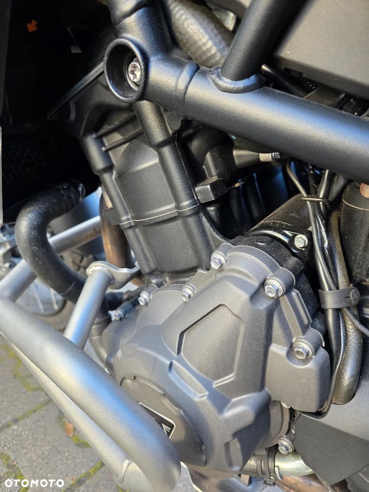 Triumph Tiger - 24