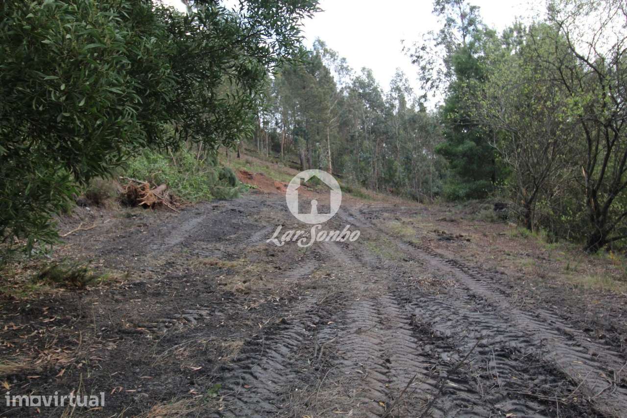 Terreno agrícola com 8.397m2 em Vilarinho das Cambas - Grande imagem: 2/8