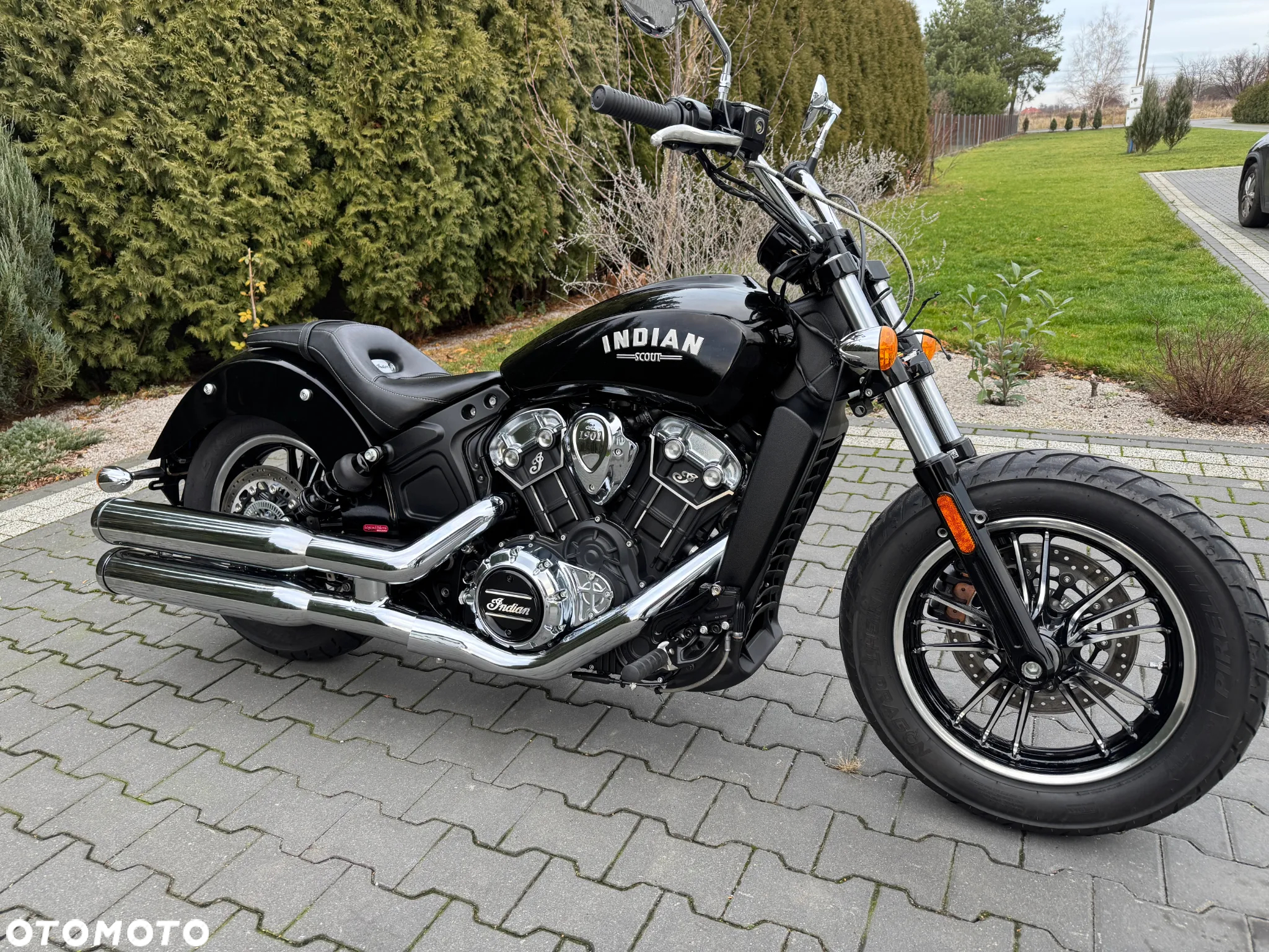 Indian Scout - 11