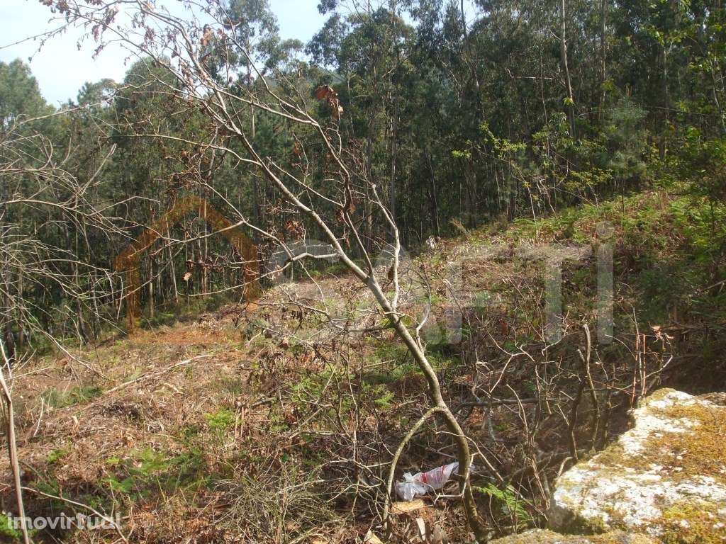 Terreno construtivo - Grande imagem: 4/13